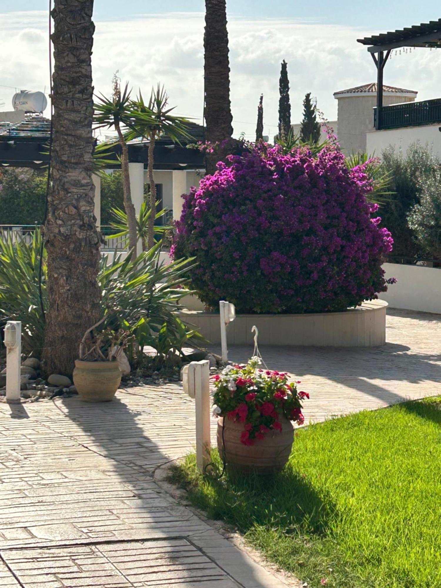 Lovely 2 Bed Aphrodite Gardens, Paphos, Cyprus Apartman Paphos